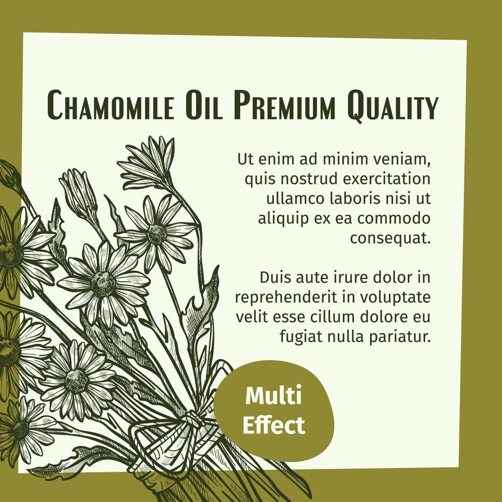 banner multi efecto de calidad premium de aceite de manzanilla vector