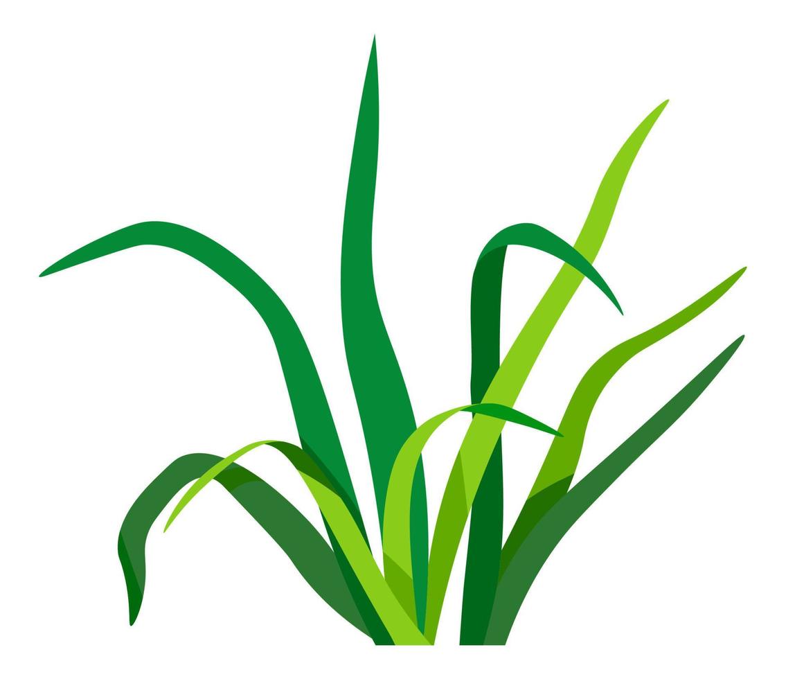 Weed or grass, foliage and leaves yard decoration vector