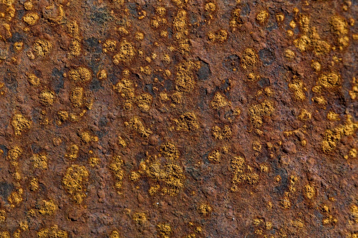 close-up of rust on a metal surface photo