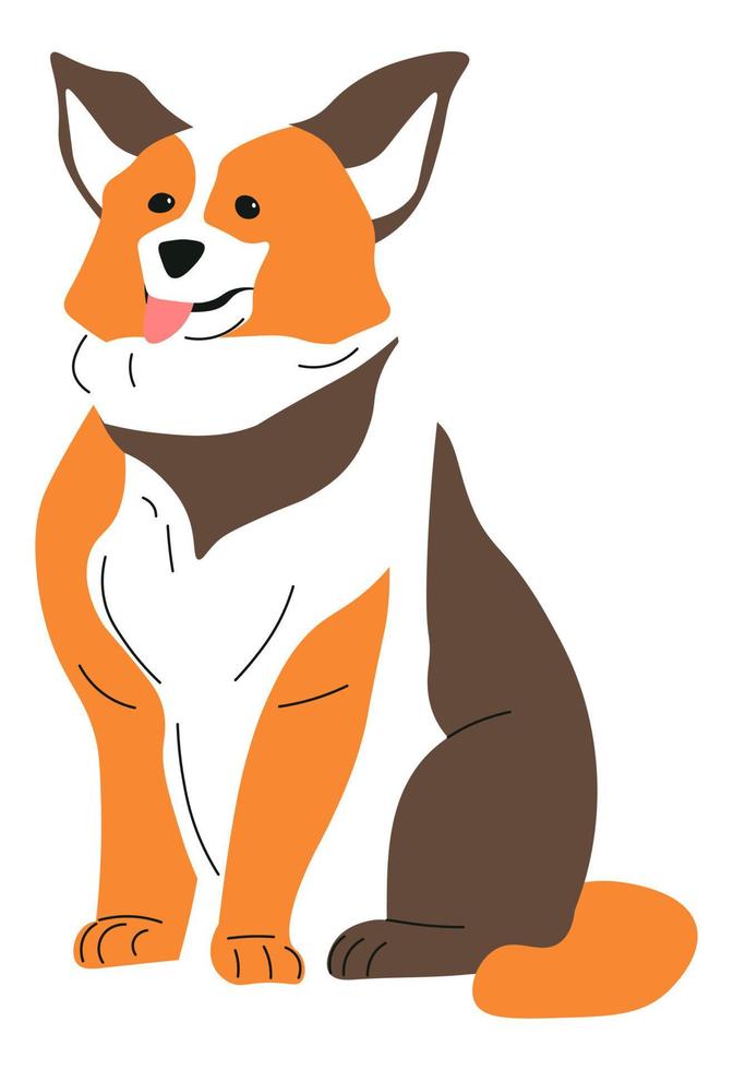 animales caninos corgi, mascota doméstica o personaje vector