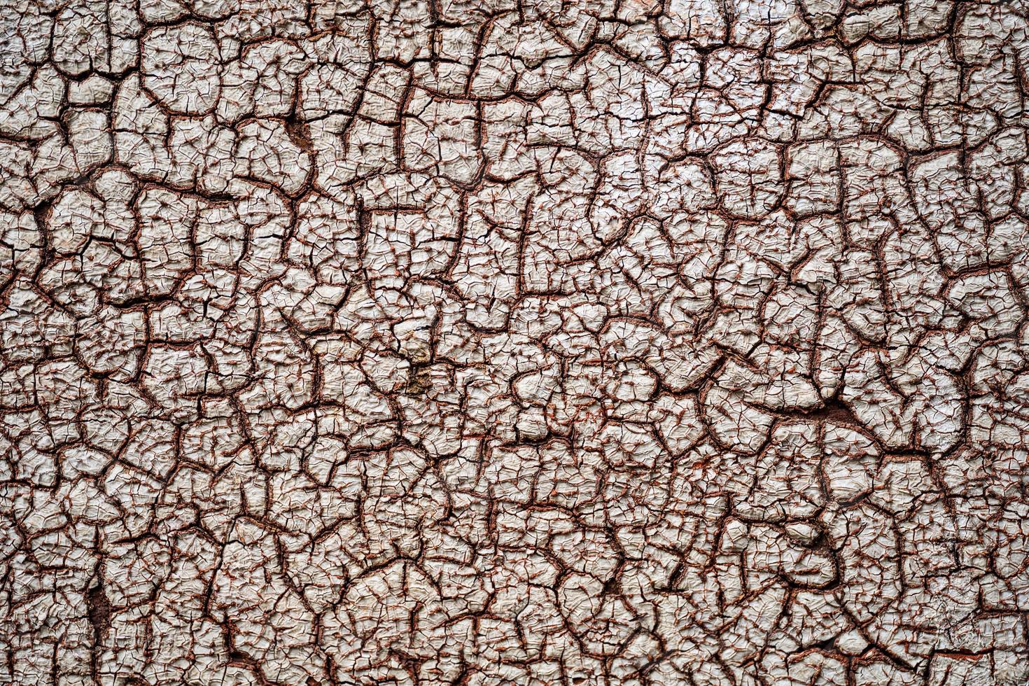 closeup texture cracked wall paint photo