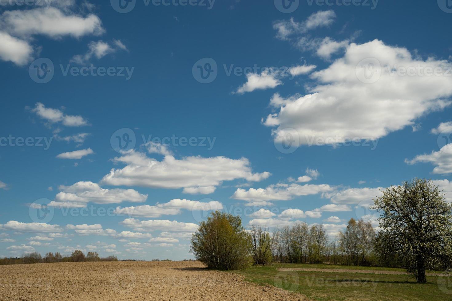 beautiful landscape of blue sky with clouds and field in Ukraine photo