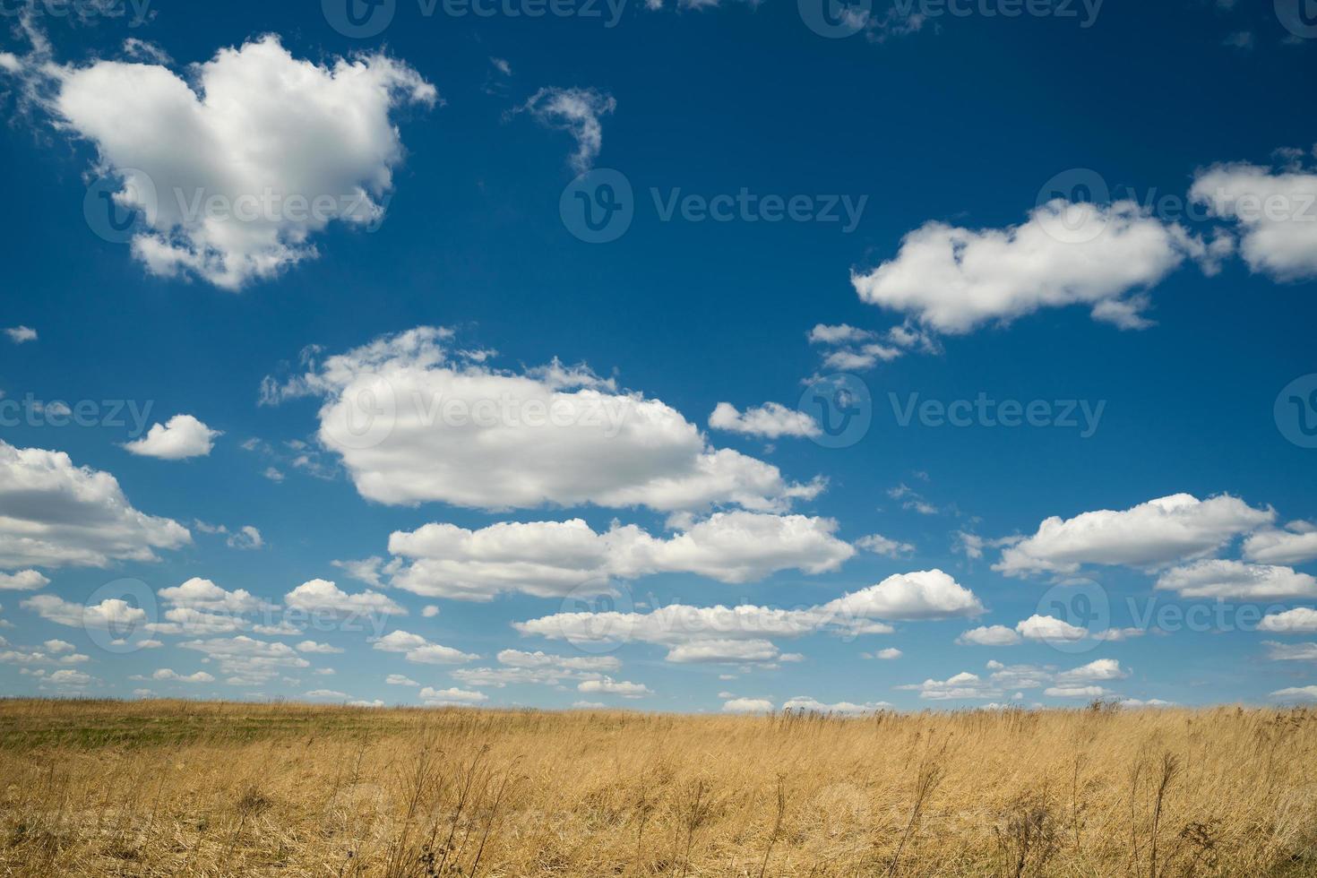 beautiful landscape of blue sky with clouds and field in Ukraine photo