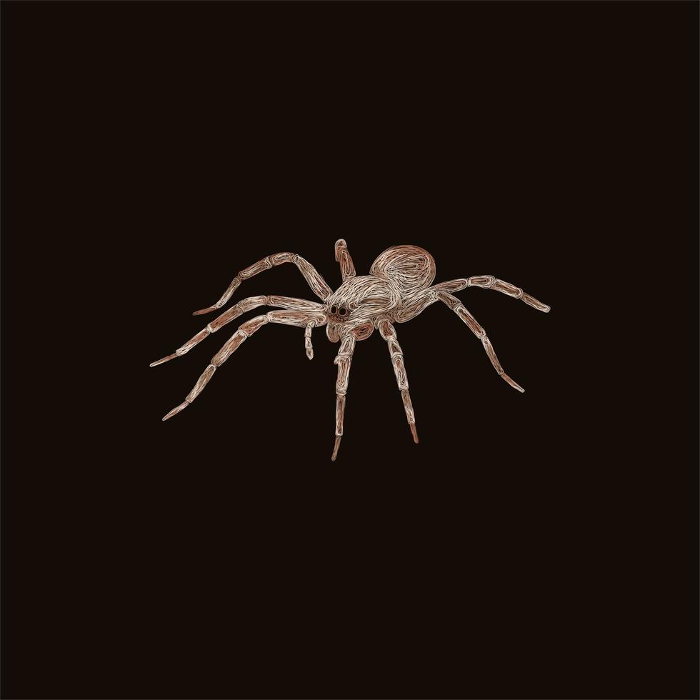diseño de ilustración de estilo de arte de araña tarántula vector