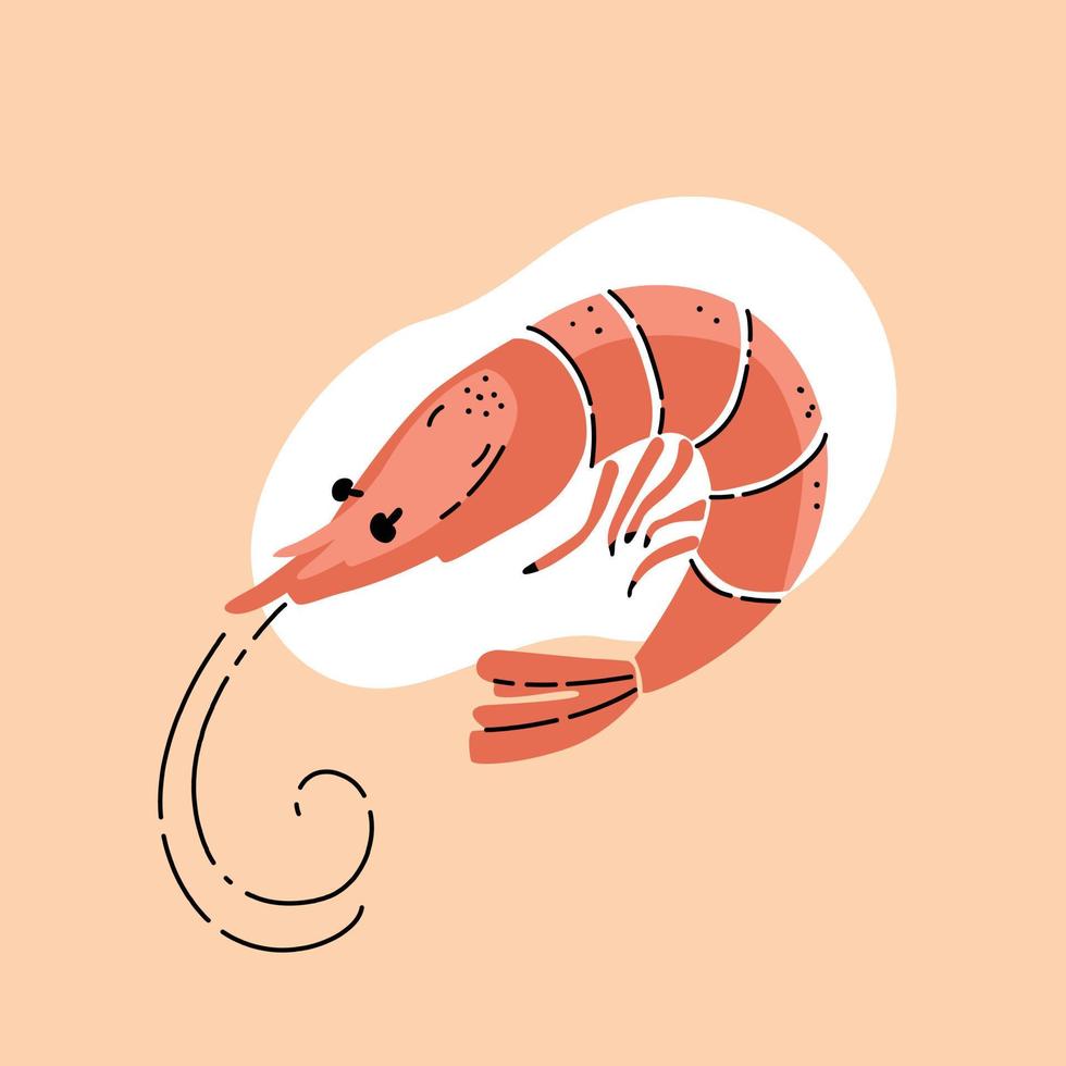 ilustración vectorial de un camarón naranja en un estilo de garabato sobre un fondo blanco. vector
