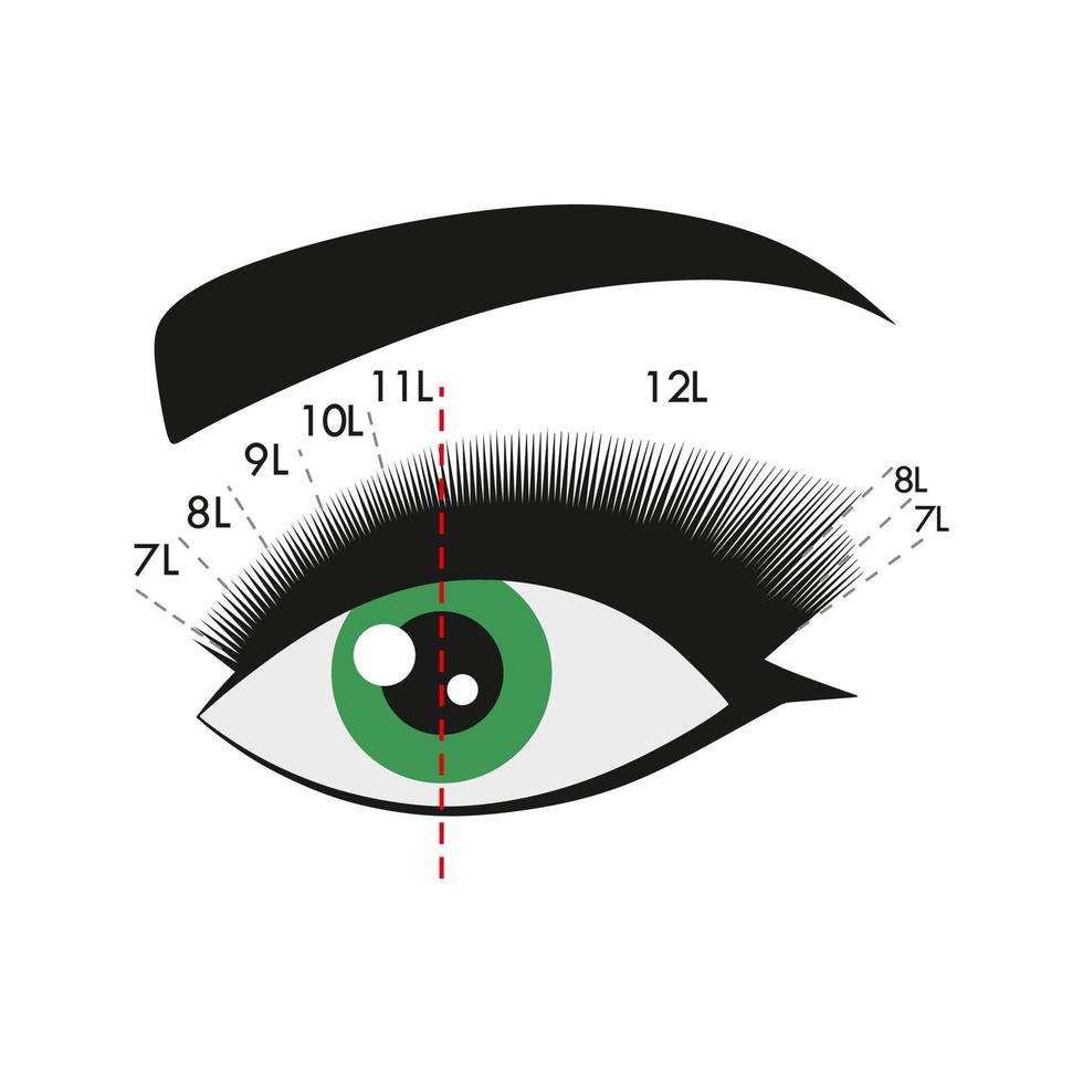 Soft fox effect. Eyelash extension. Instruction. Procedure. Eyelash type and shape. Green eye. Tutorial. vector