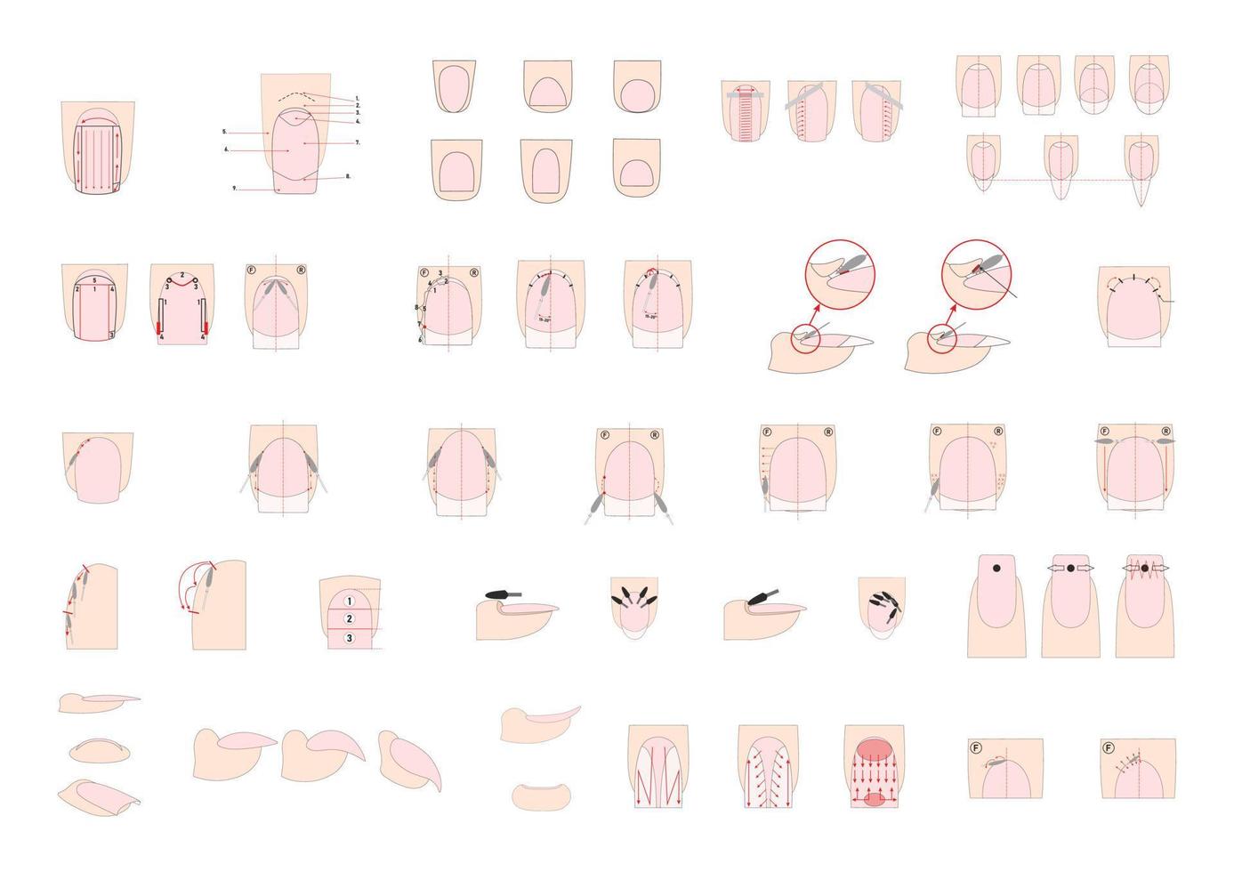 Sawdust material. Professional manicure guide. Manicure instructions collection. Correct use of the cutter. Nails polish. vector