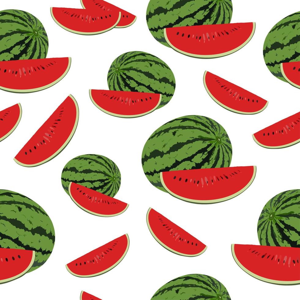 Watermelon seamless pattern. White background. Fruit or berry. Slices. vector