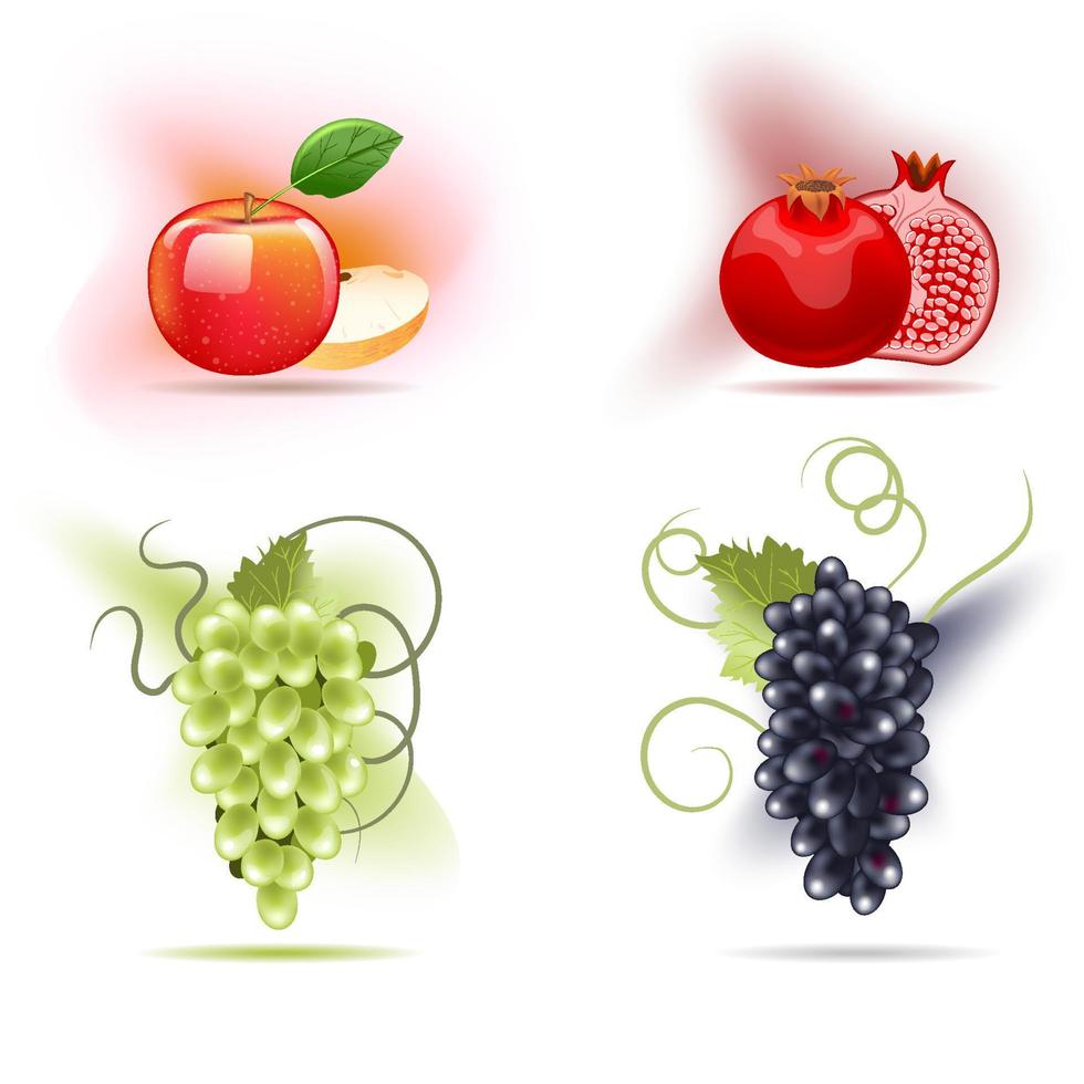 conjunto de frutas, manzana, granada y uvas. vector