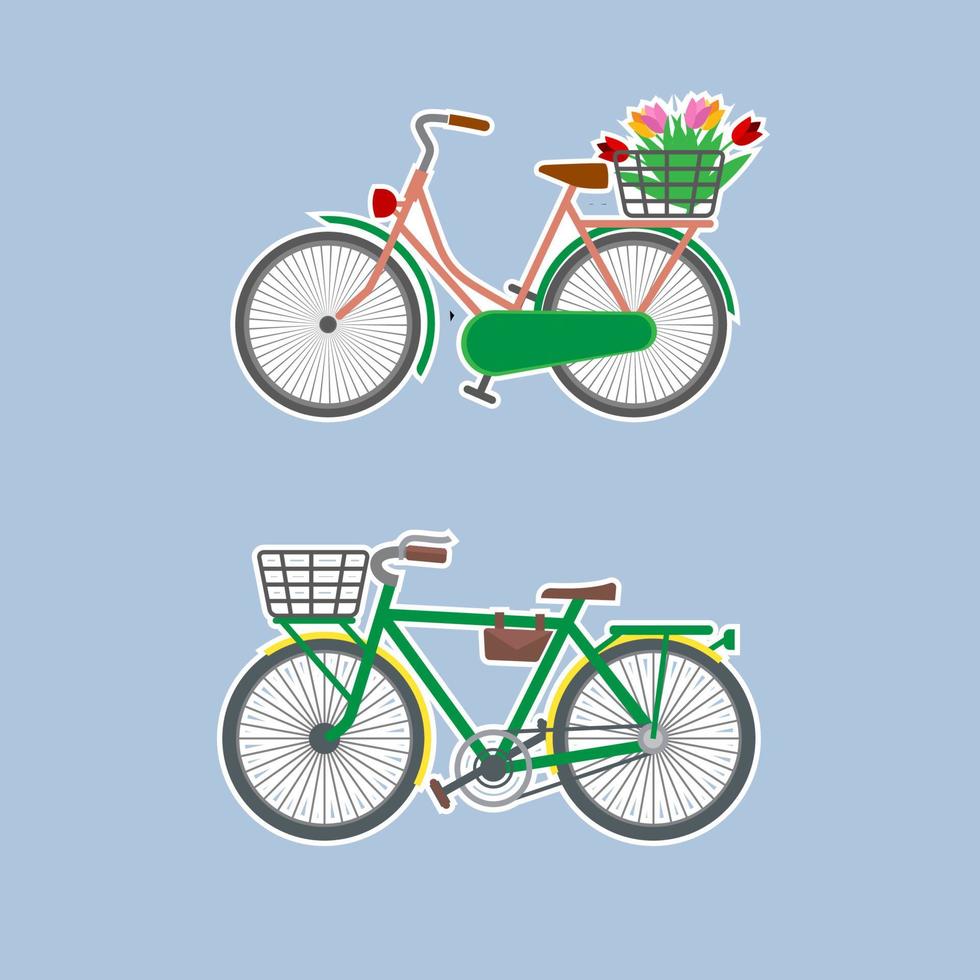 Two bicycles on a blue background, male and female. vector