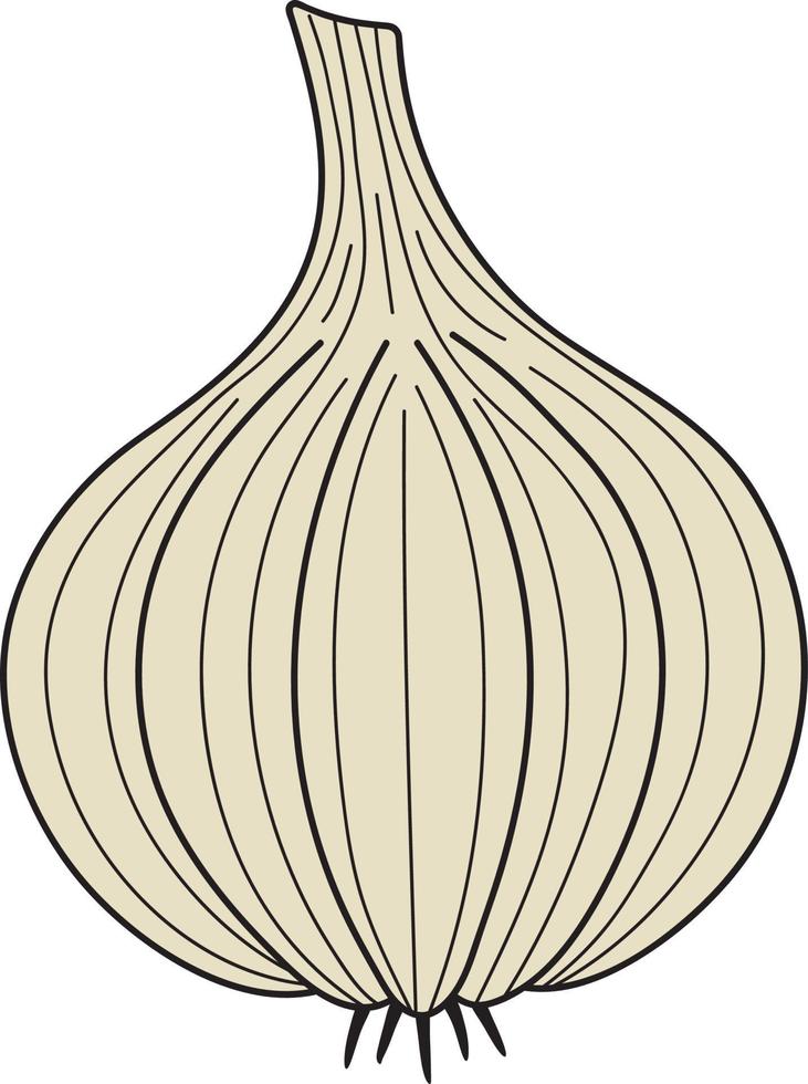 ilustración del producto de ajo para cocinar. vector