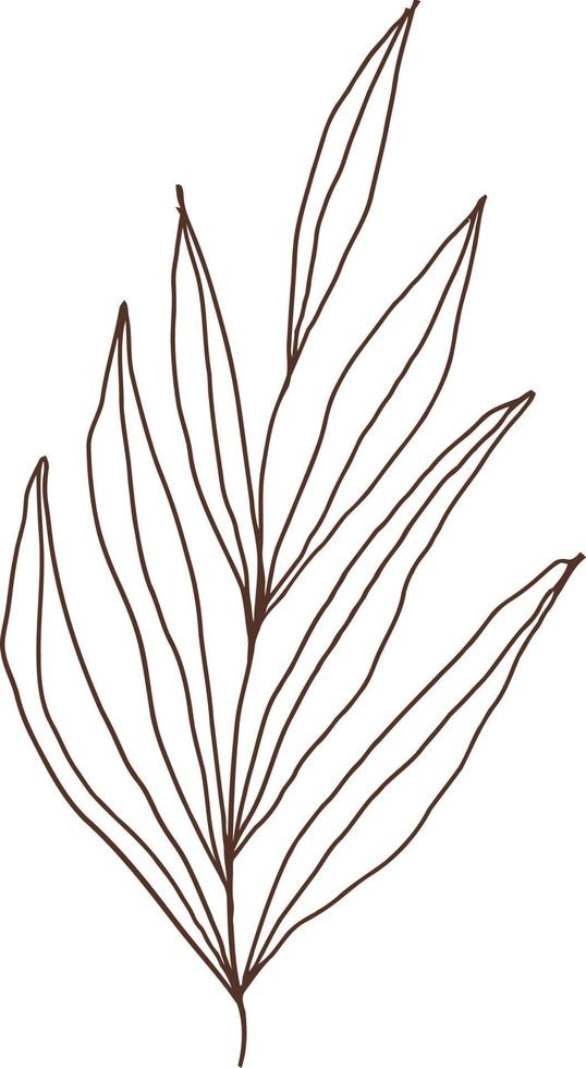Illustration of decorative leaves. vector