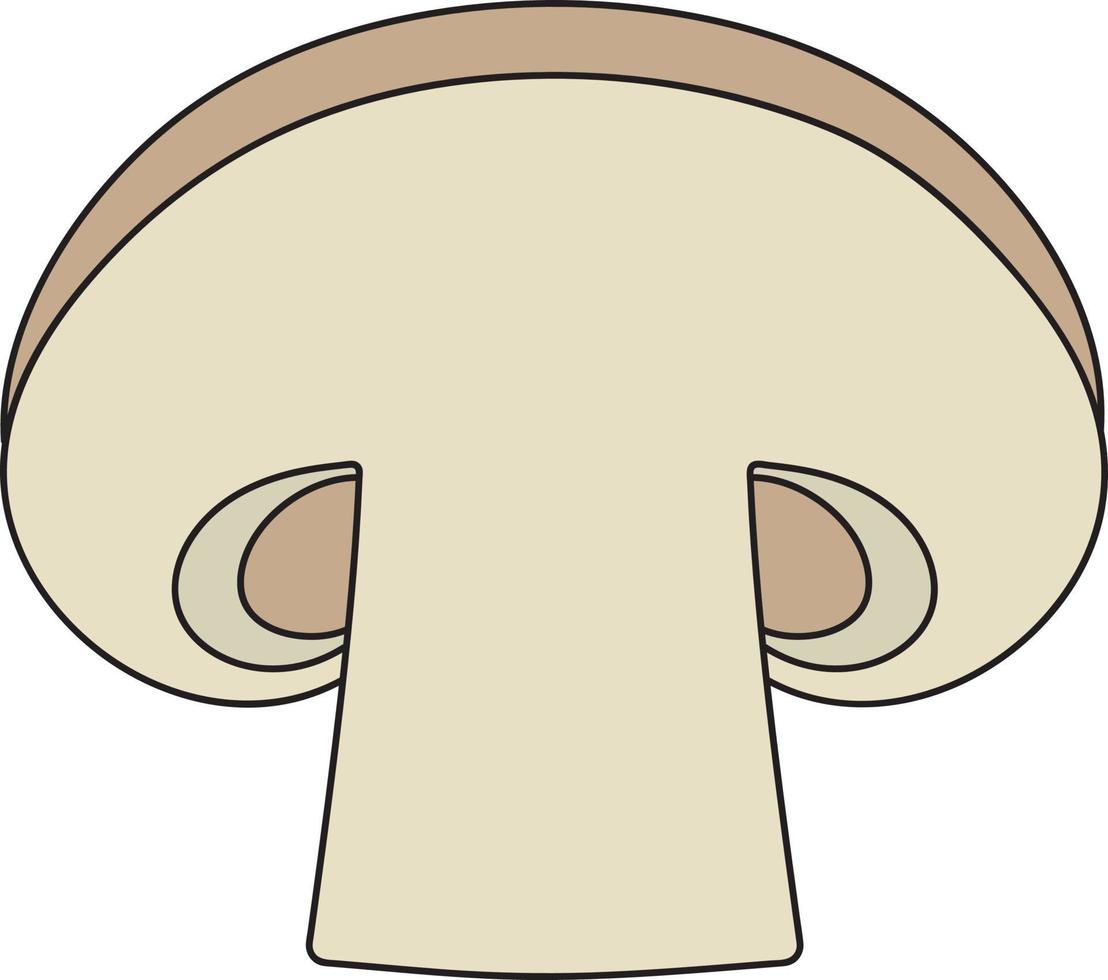Illustration mushroom champignon product to cook. vector