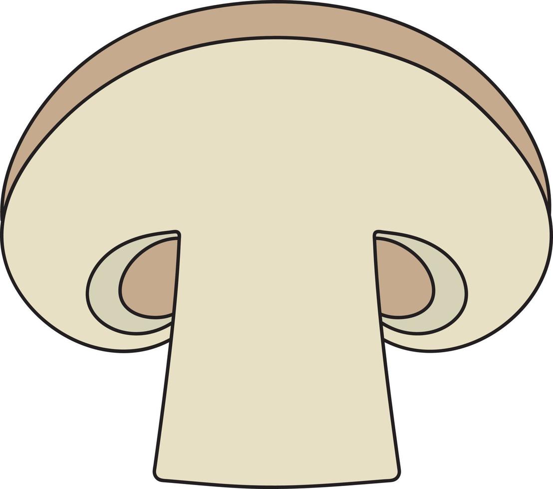 Illustration mushroom champignon product to cook. vector