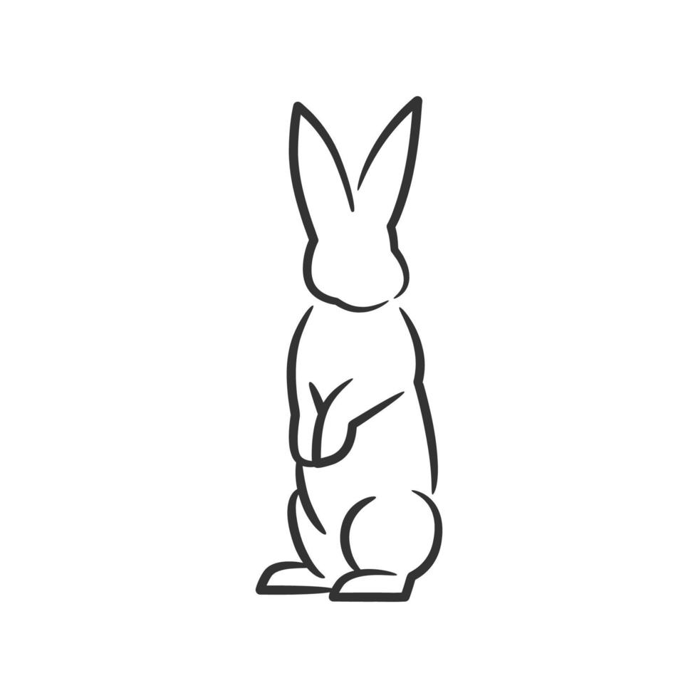 arte lineal de conejo en blanco y negro vector