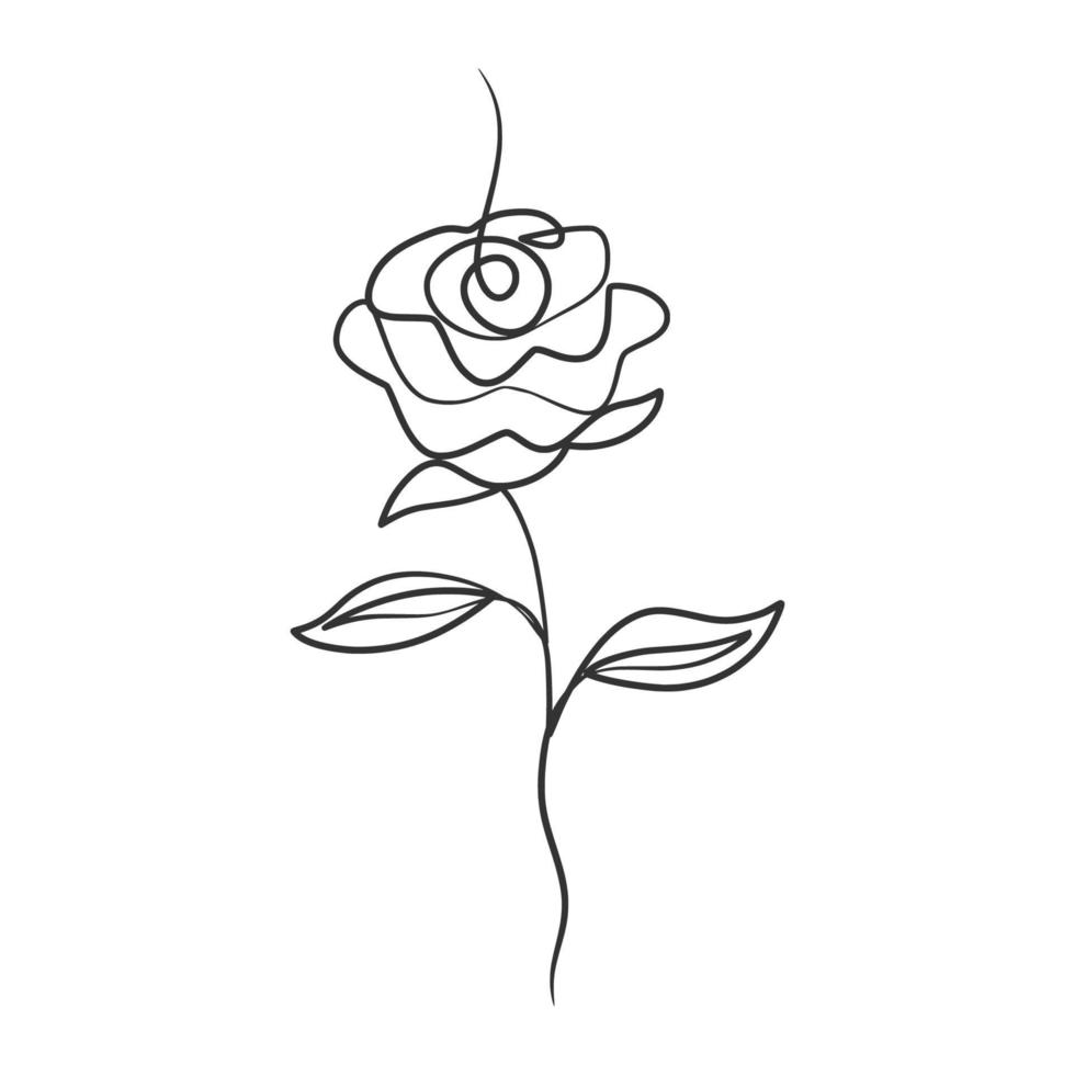 Rose flower in continuous line art drawing style vector
