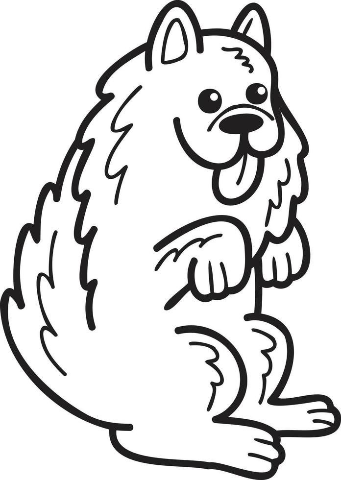 dibujado a mano perro samoyedo mendigando ilustración del propietario en estilo garabato vector