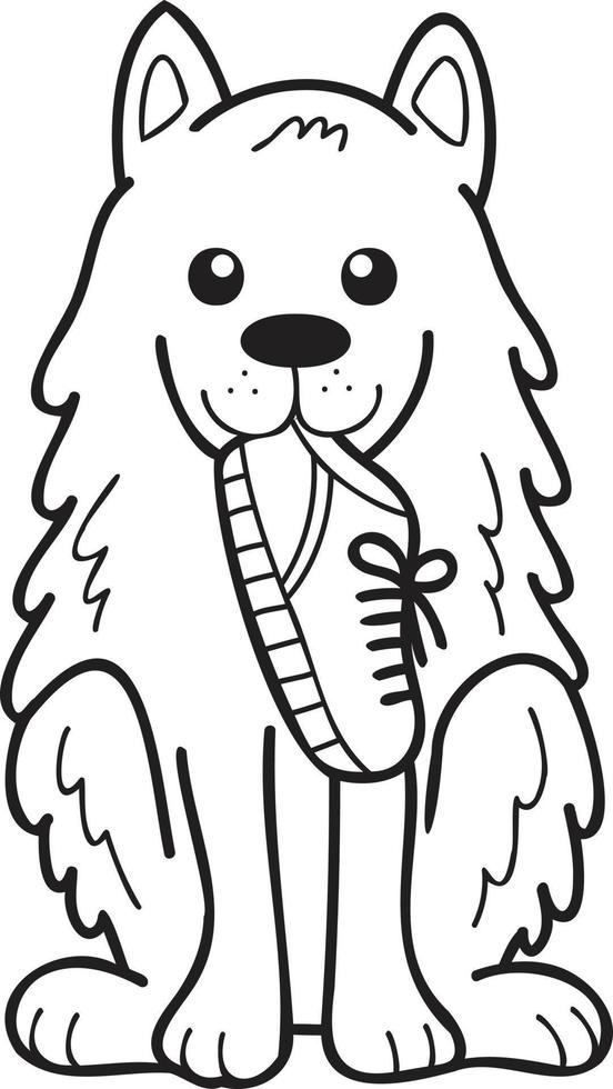 Hand Drawn Samoyed Dog holding shoes illustration in doodle style vector