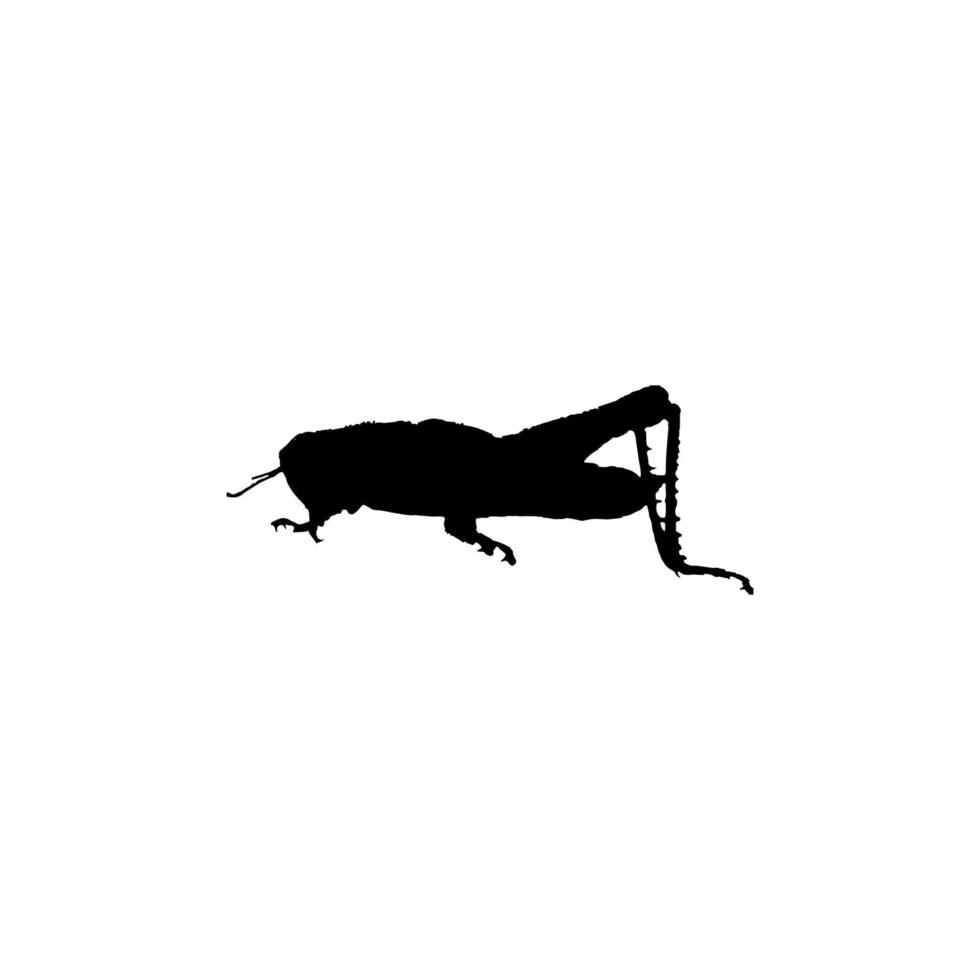 icono de saltamontes. símbolo de fondo de póster de ciencia de insectos de estilo simple. elemento de diseño del logotipo de la marca saltamontes. impresión de camisetas de saltamontes. vector para pegatina.