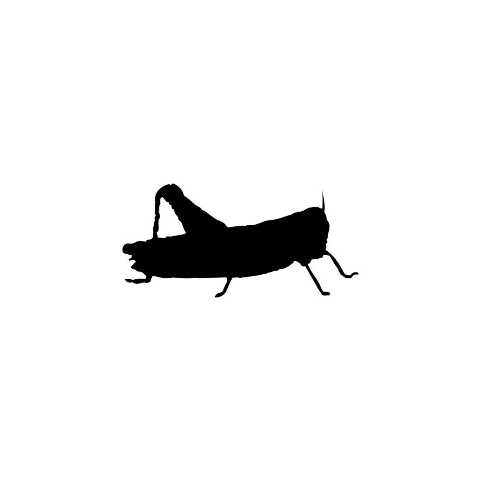 icono de saltamontes. símbolo de fondo de póster de ciencia de insectos de estilo simple. elemento de diseño del logotipo de la marca saltamontes. impresión de camisetas de saltamontes. vector para pegatina.