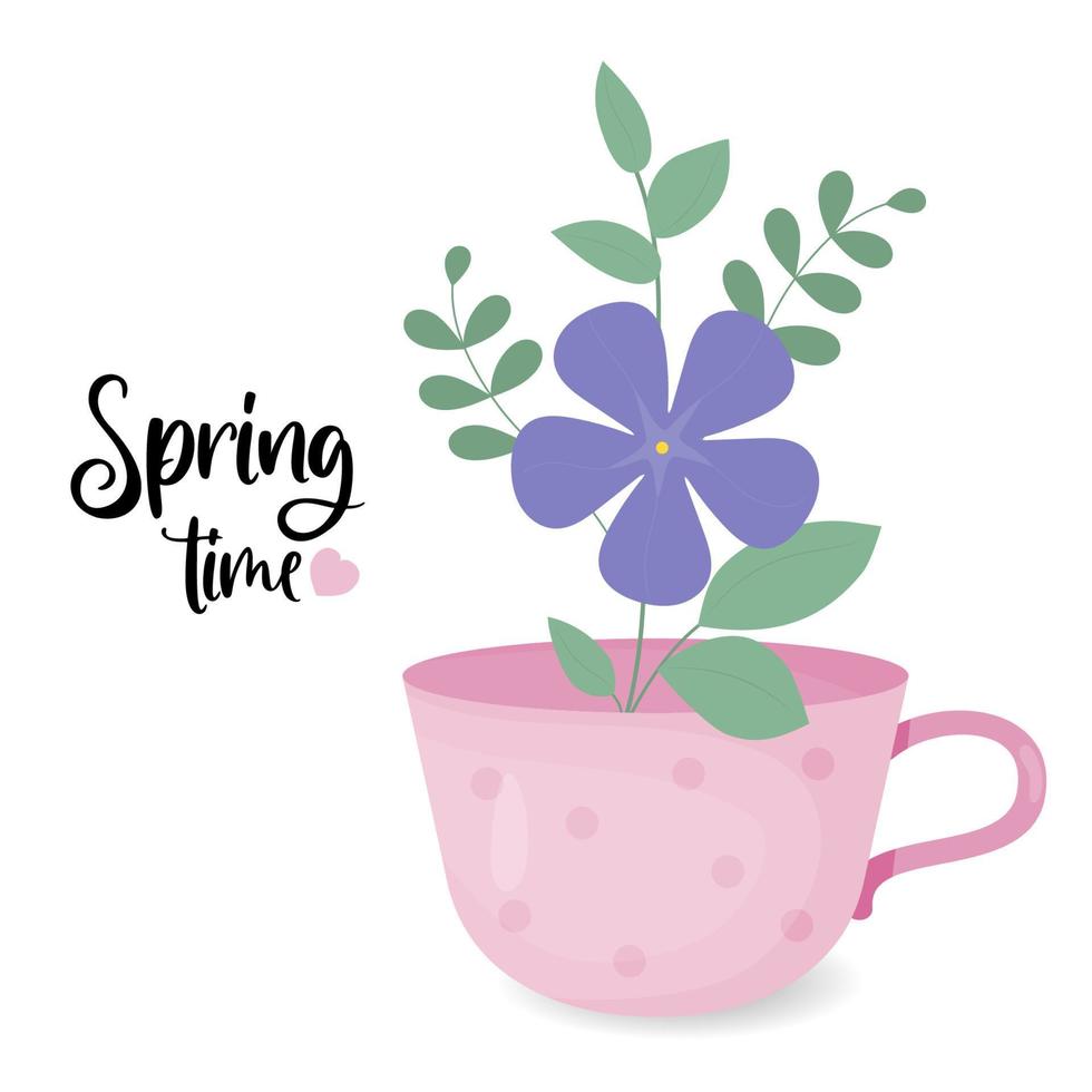 Spring time poster. Periwinkle flower. Blooming purple Vinca minor with leaves in cup. Vector illustration in flat style.