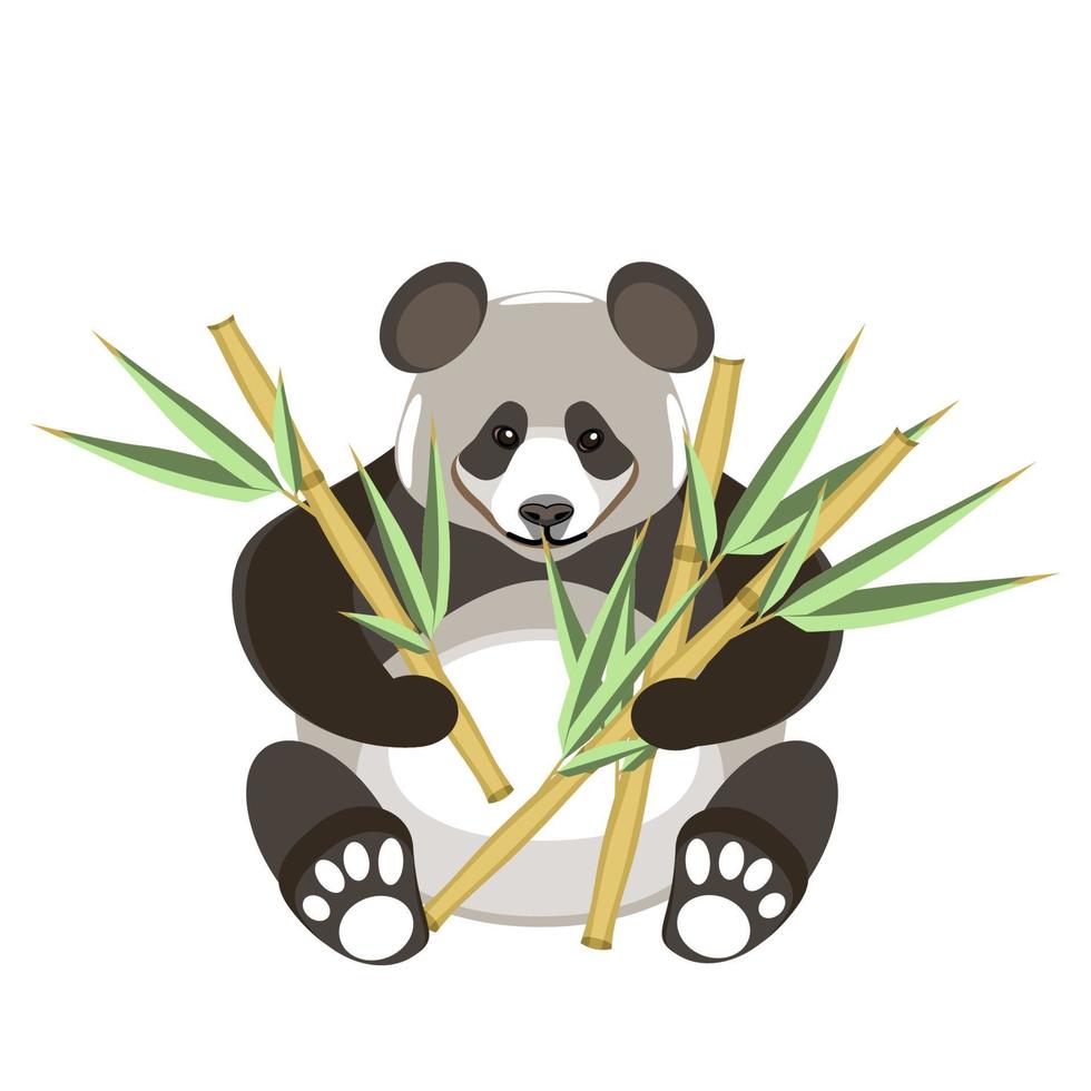 Panda sitting with bamboo plant in flat technique vector