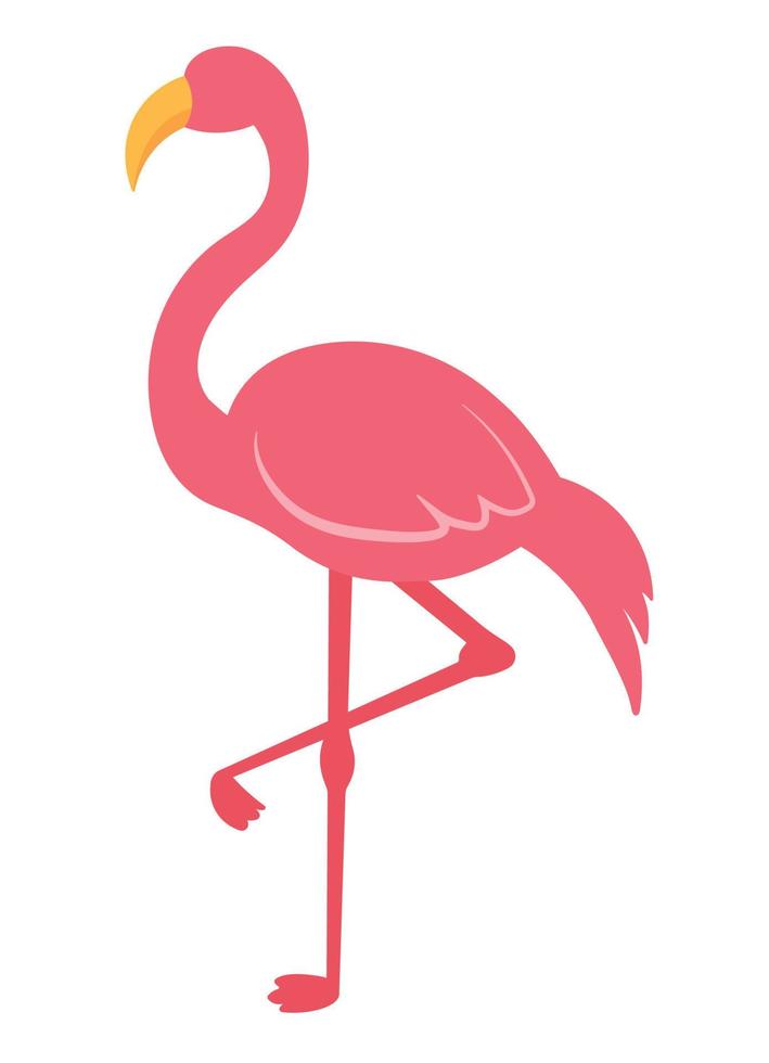 Ilustración de vector de animal de vida silvestre de pájaro animado de flamenco rosa plana