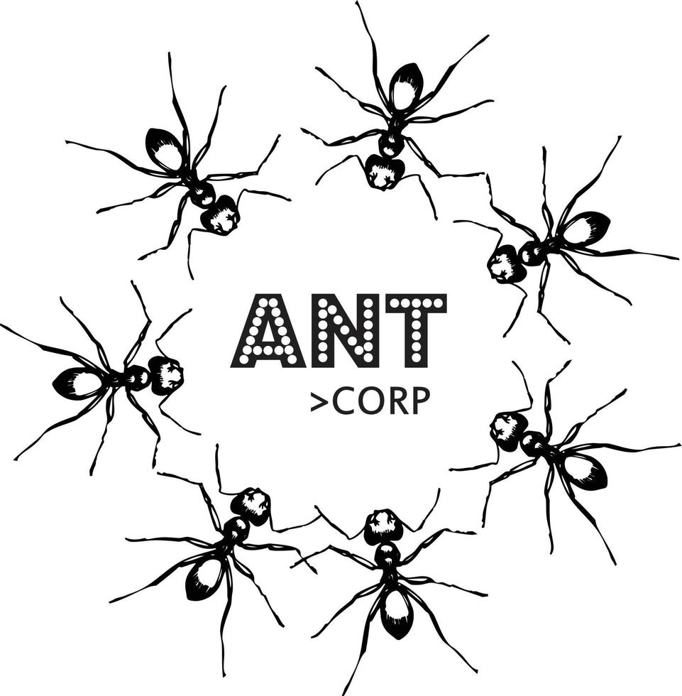 Vector illustration logo symbol Ant animals corp isolated on white background