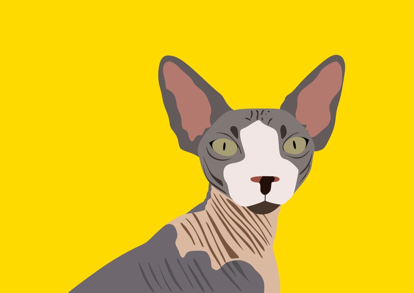 Cat sphynx portrait. Yellow background. vector
