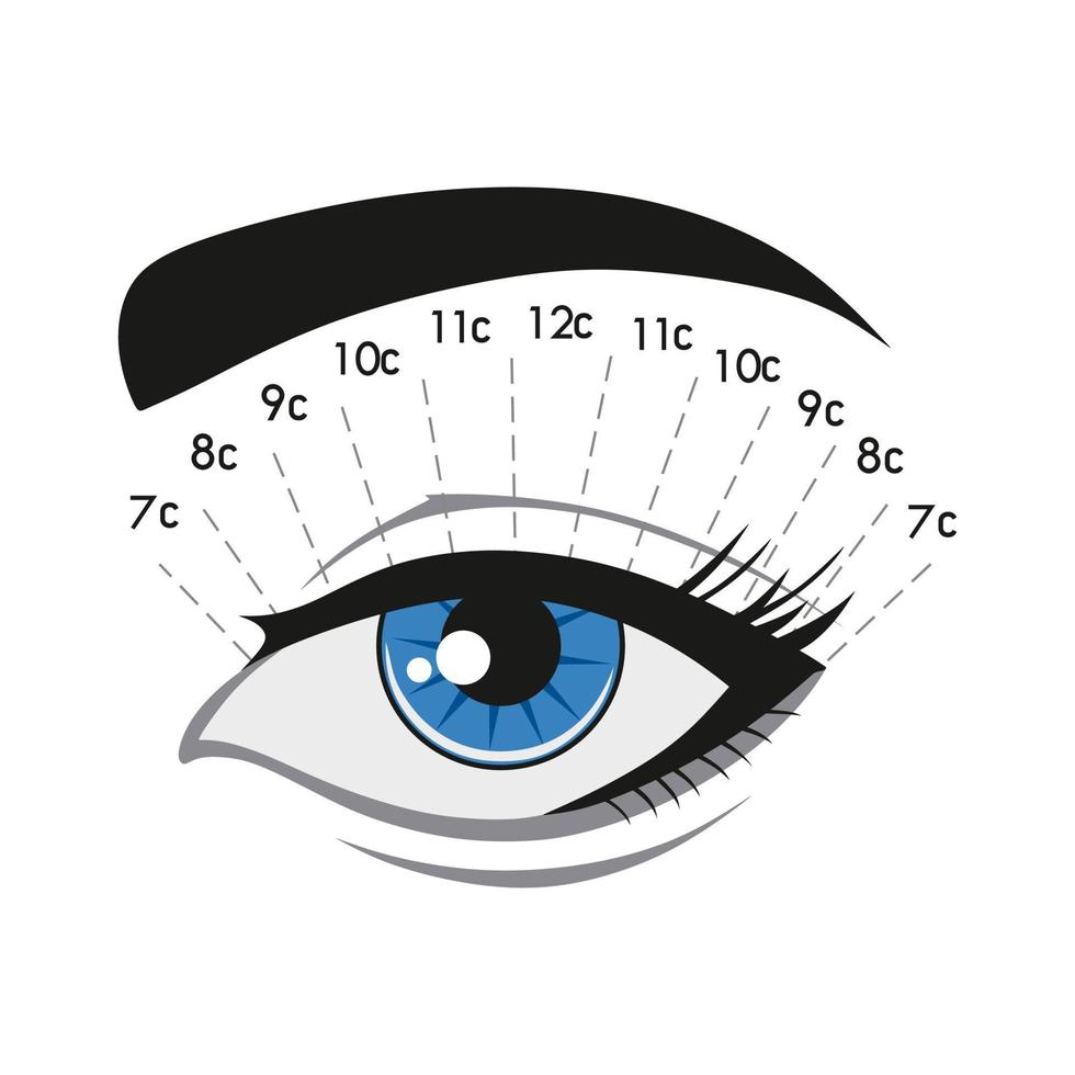 The squirrel effect. Eyelash extension. Instruction. Procedure. Eyelash type and shape. Blue eye. Tutorial. vector