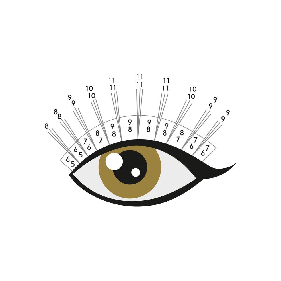 Scheme rays. Eyelash extension. Instruction. Procedure. Eyelash type and shape. Brown eye. Tutorial. vector