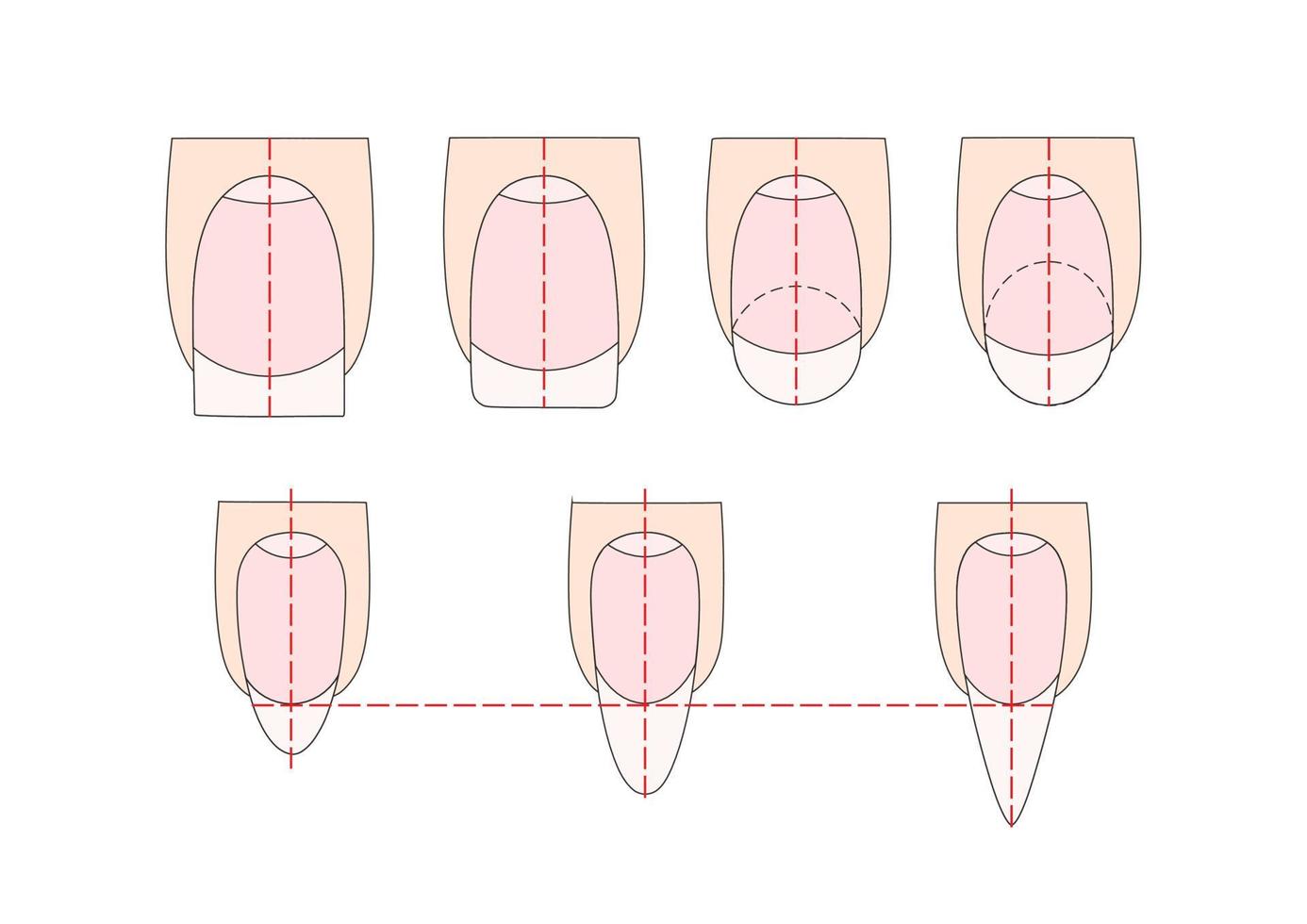 instrucción de manicura. ilustraciones vectoriales de uñas. dedos de señora. vector