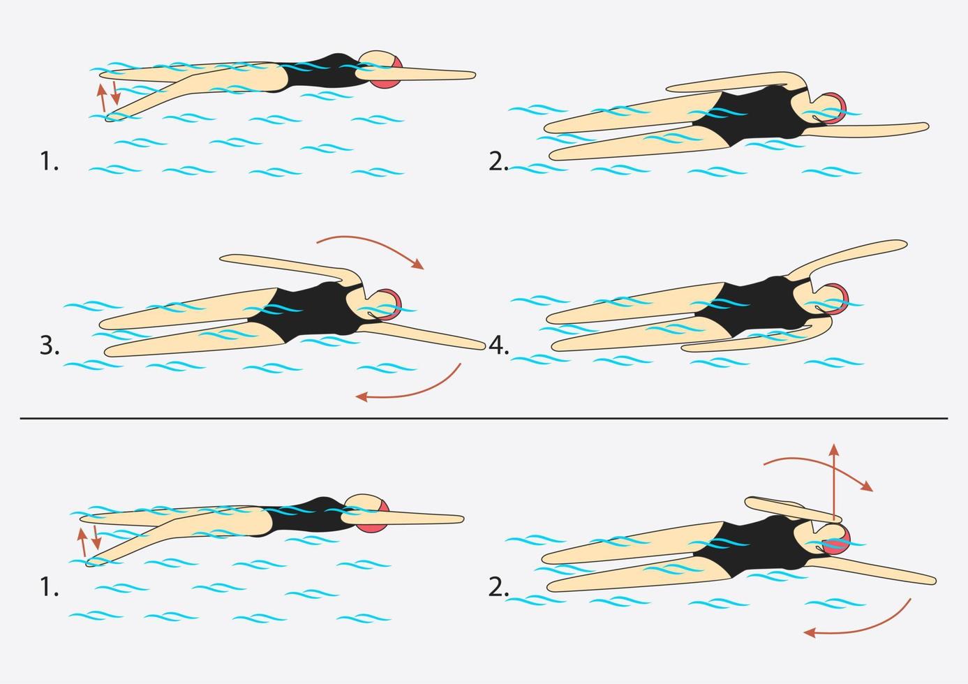 Backstroke with one arm extended forward so that the upper arm touches the ear. Turn to the side of the outstretched arm, lifting the shoulder of the lower arm out of the water. Swimming pool. vector