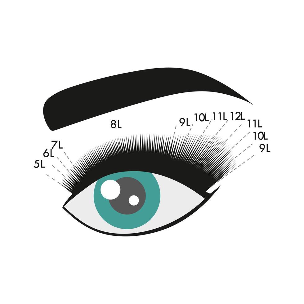 Fox lashes effect. Eyelash extension. Instruction.  Procedure. Eyelash type and shape. Green blue eye. Tutorial. vector