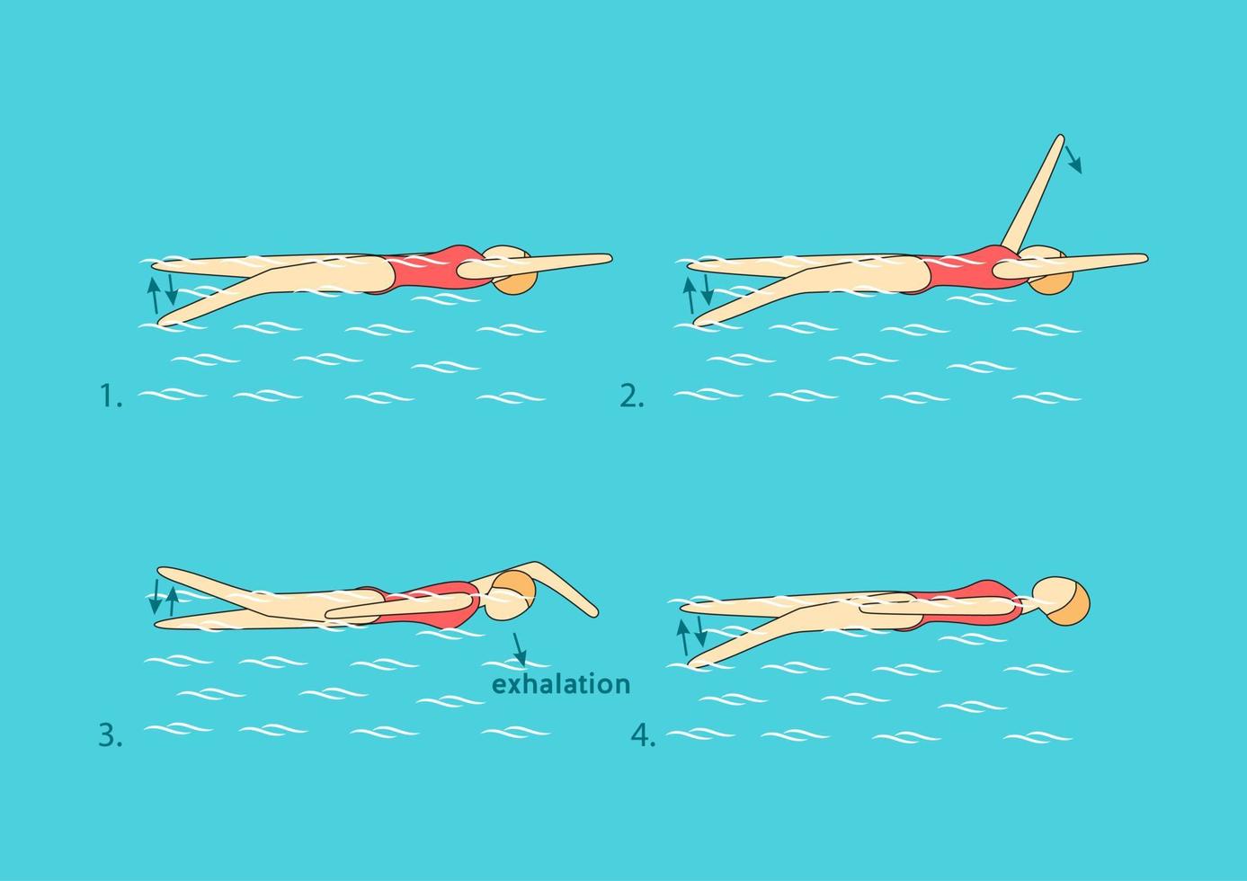 Backstroke with one arm extended forward and the upper arm close to the ear. Raise the other hand, turn on the chest to the side of the outstretched hand, exhale after immersing the head under water. vector