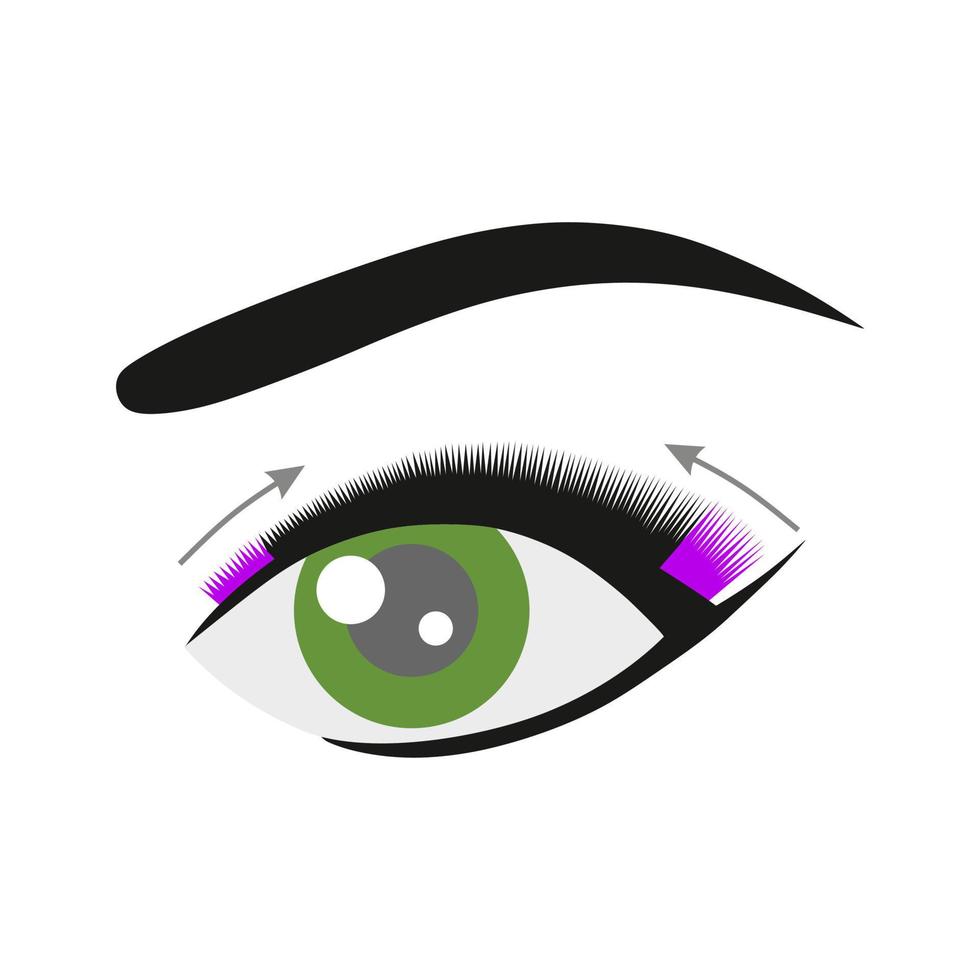 Technique book. Inner corner, outer corner, center. Eyelash extension. Instruction. Procedure. Eyelash type and shape. Green eye. Tutorial. vector