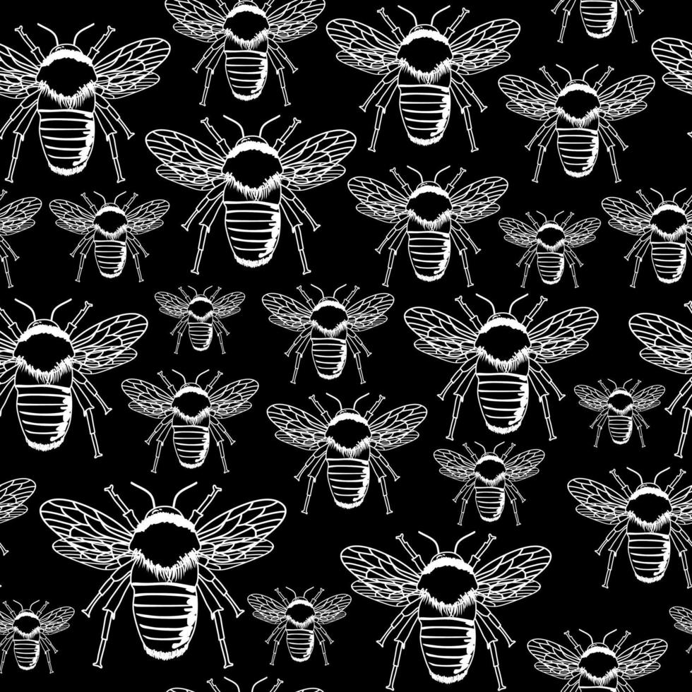 Bumblebee seamless pattern. White ornament lines and black background. Insect or bug. vector