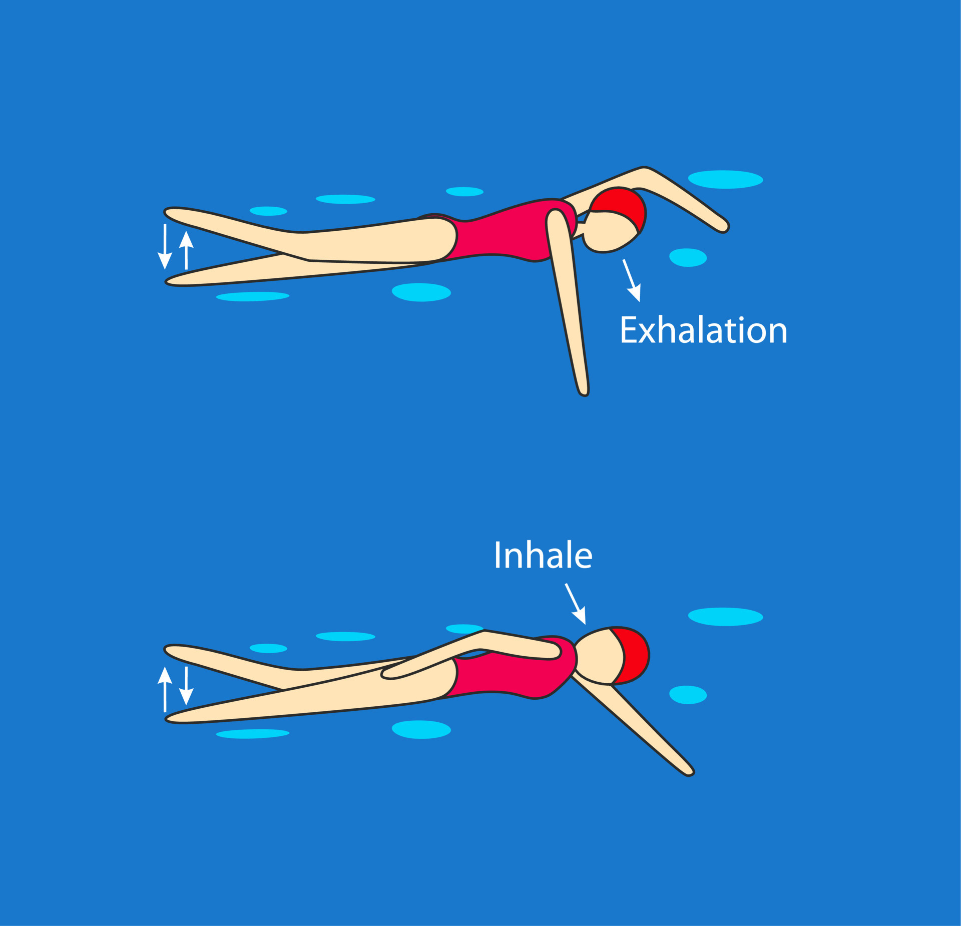 Backstroke arms, legs work, breathing. Swimming pool instruction. Young