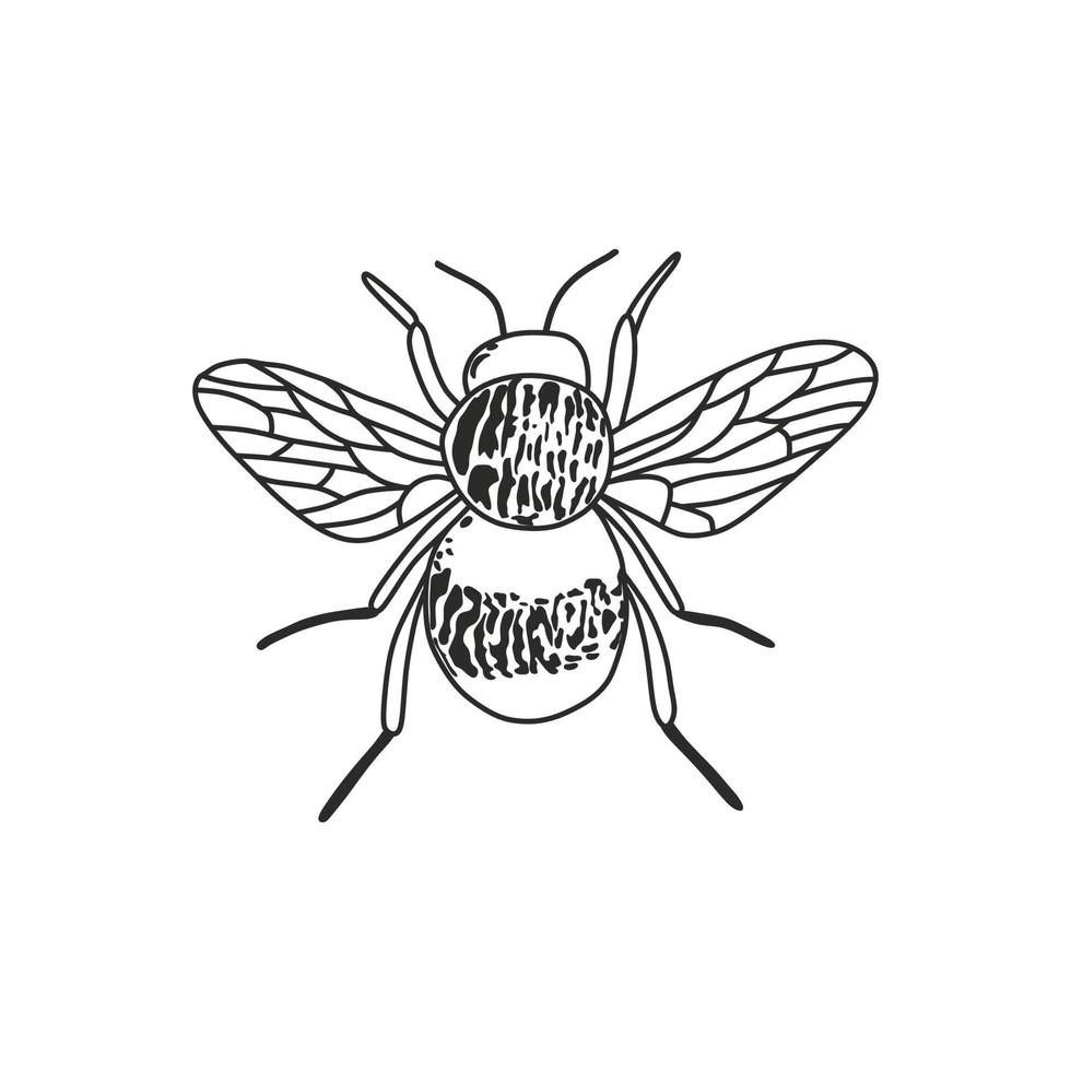 Bee Icon. Bumblebee Logo on White Background. Vector. Black silhouette. Hand drawn icon. vector