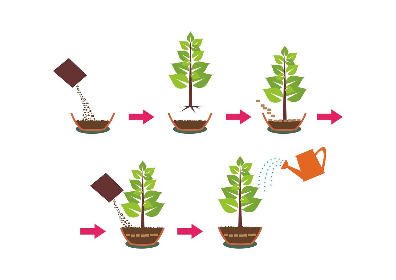 instrucción de poner y cultivar plantas con macetas de agua y semillas. instrucciones paso a paso para plantar semillas de plantas boceto vectorial del proceso de plantación. etapas de crecimiento de los árboles. vector