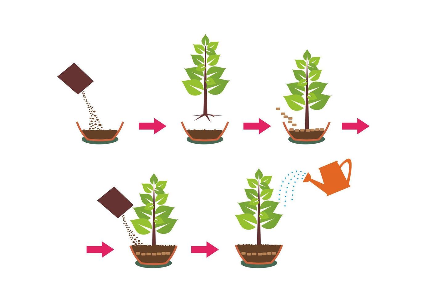 Putting and growing plants instruction with pots water and seeds. Step by step instructions for planting seeds of plants vector sketch of the process of planting. Tree growing stages.
