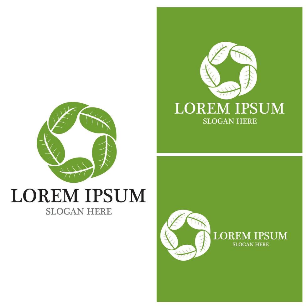 Nature leaf icon and symbol template vector