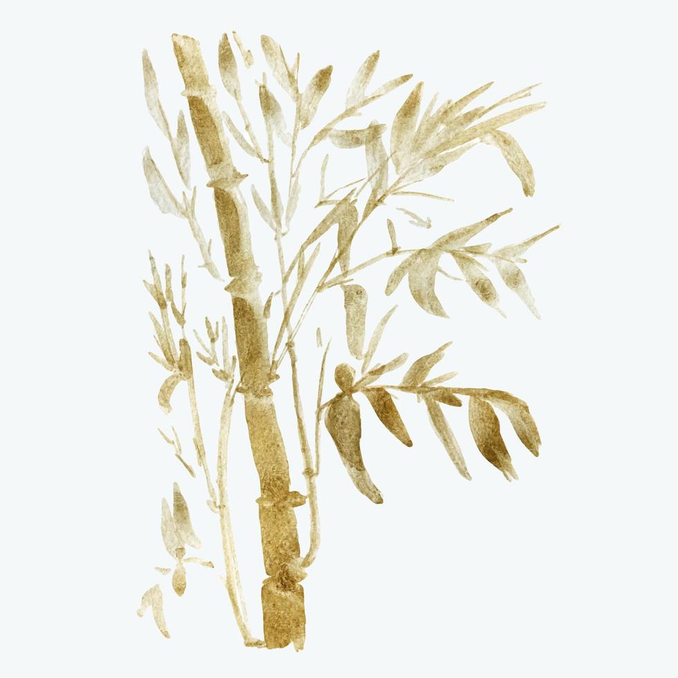 The bamboo branches are painted in watercolor. Asian plants. Decorative watercolor bamboo background. vector