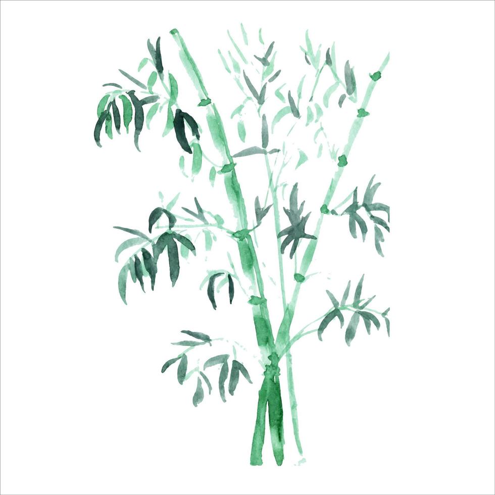 The bamboo branches are painted in watercolor. Asian plants. Decorative watercolor bamboo background. vector