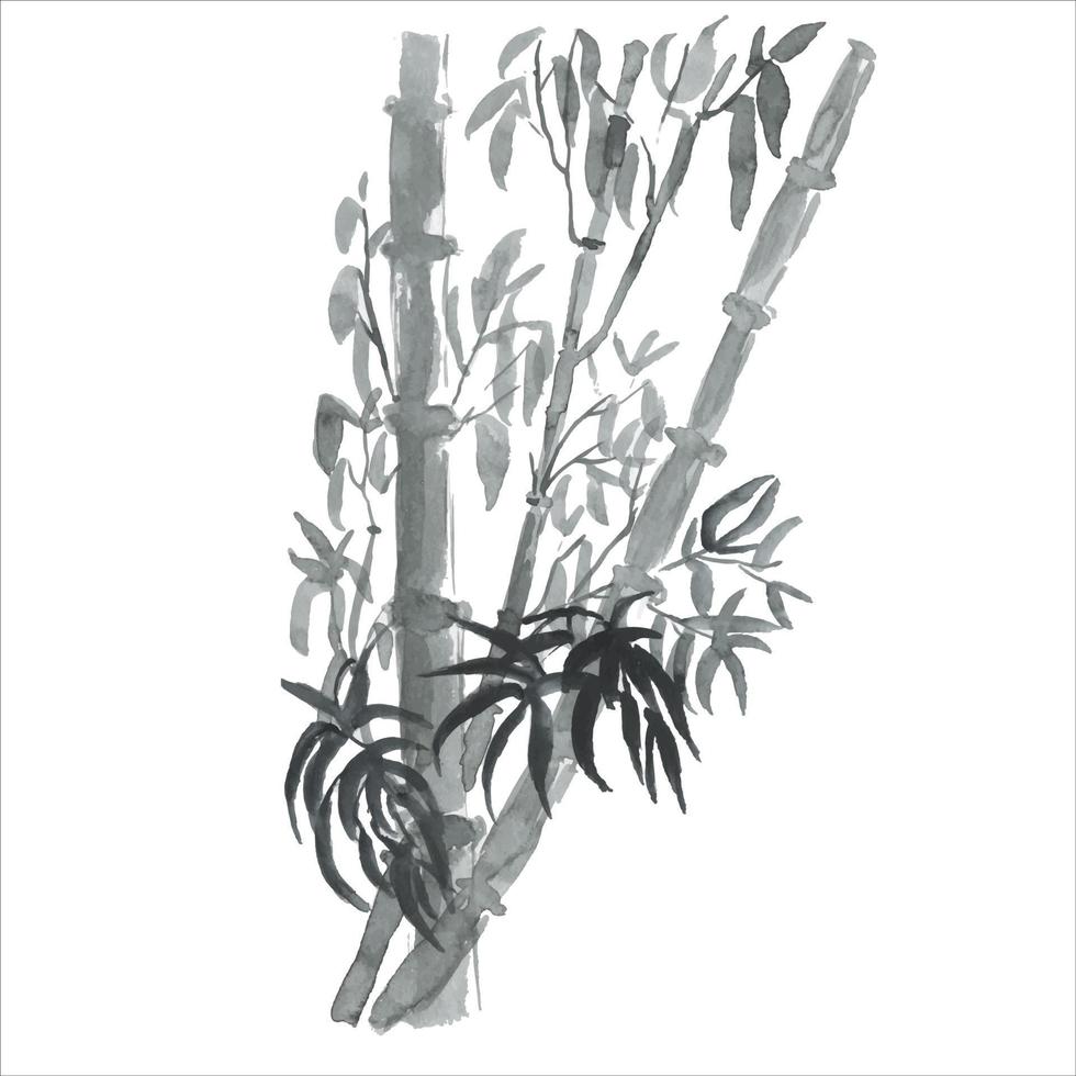las ramas de bambú están pintadas con acuarela. plantas asiáticas. fondo decorativo de bambú acuarela. vector