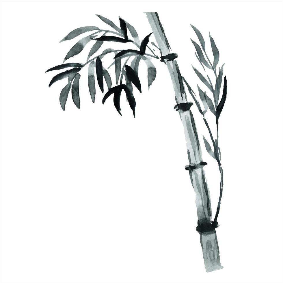 las ramas de bambú están pintadas con acuarela. plantas asiáticas. fondo decorativo de bambú acuarela. vector