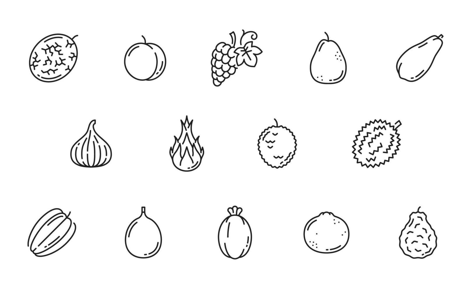 iconos de línea de frutas exóticas crudas, pictogramas de contorno vector