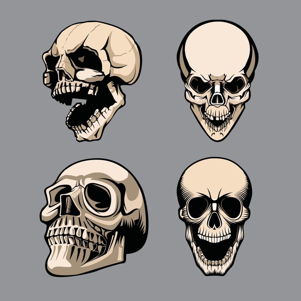 A set of four skulls in different positions. vector
