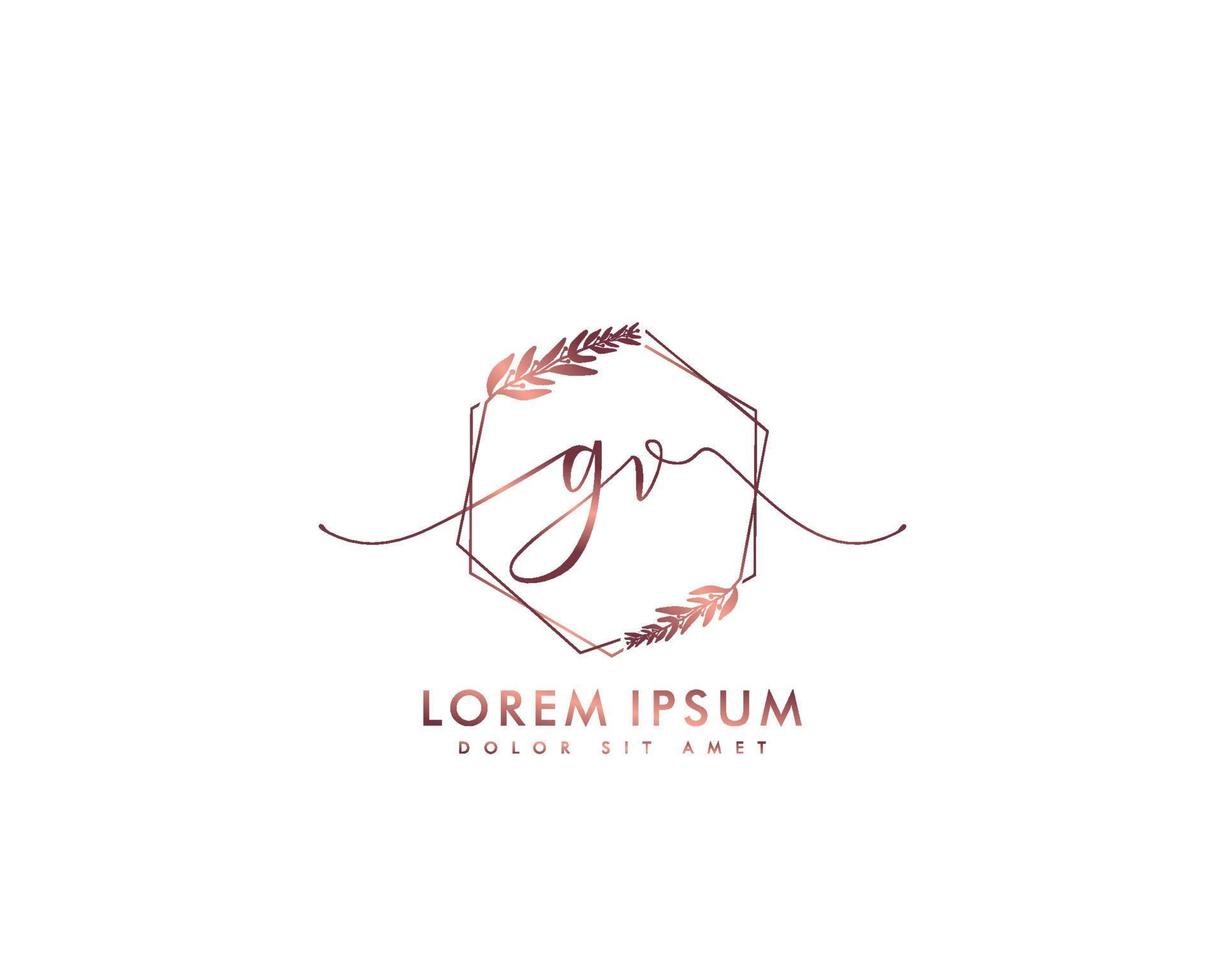 Initial GV Feminine logo beauty monogram and elegant logo design, handwriting logo of initial signature, wedding, fashion, floral and botanical with creative template vector