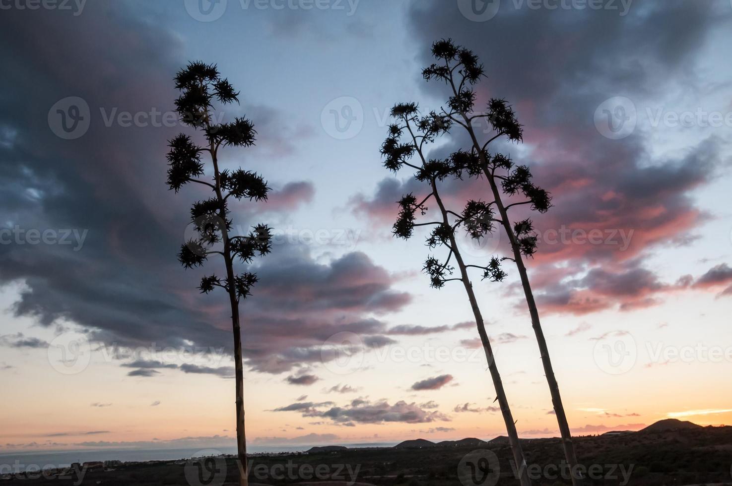 paisaje sobre la puesta de sol foto